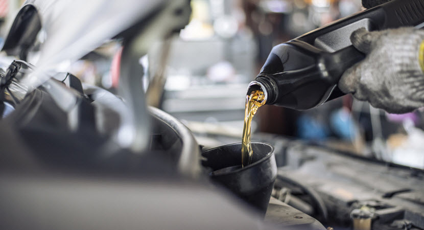 Regular Audi Oil Change